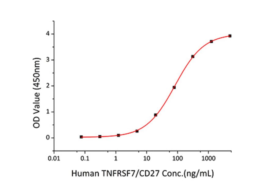 Standard Curve - Recombinant Human CD70 Protein (N-terminal His Tag) (A330389) - Antibodies.com