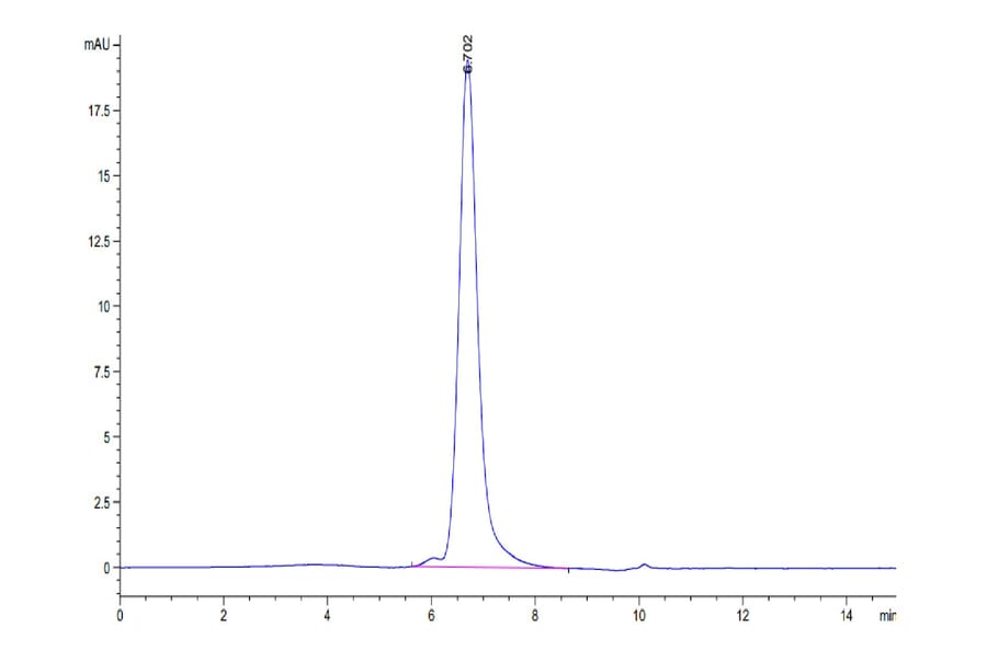 SEC-HPLC - Recombinant Human CD70 Protein (Biotin) (N-terminal His Tag) (A330391) - Antibodies.com