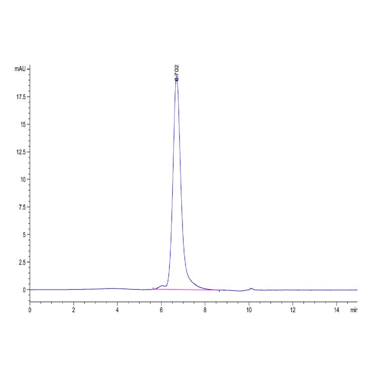 SEC-HPLC - Recombinant Human CD70 Protein (Biotin) (N-terminal His Tag) (A330391) - Antibodies.com