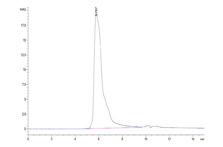 SEC-HPLC - Recombinant Human CD70 Protein (N-terminal Human Fc Tag) (A330392) - Antibodies.com