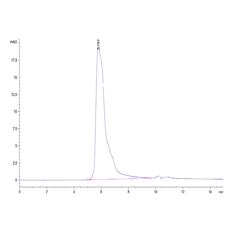 SEC-HPLC - Recombinant Human CD70 Protein (N-terminal Human Fc Tag) (A330392) - Antibodies.com