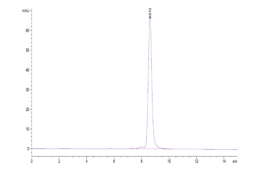 SEC-HPLC - Recombinant Human CD70 Protein (N-terminal His Tag) (A330393) - Antibodies.com
