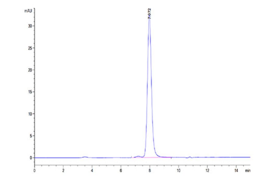 SEC-HPLC - Recombinant Cynomolgus macaque CD73 Protein (C-terminal His Tag) (A330394) - Antibodies.com