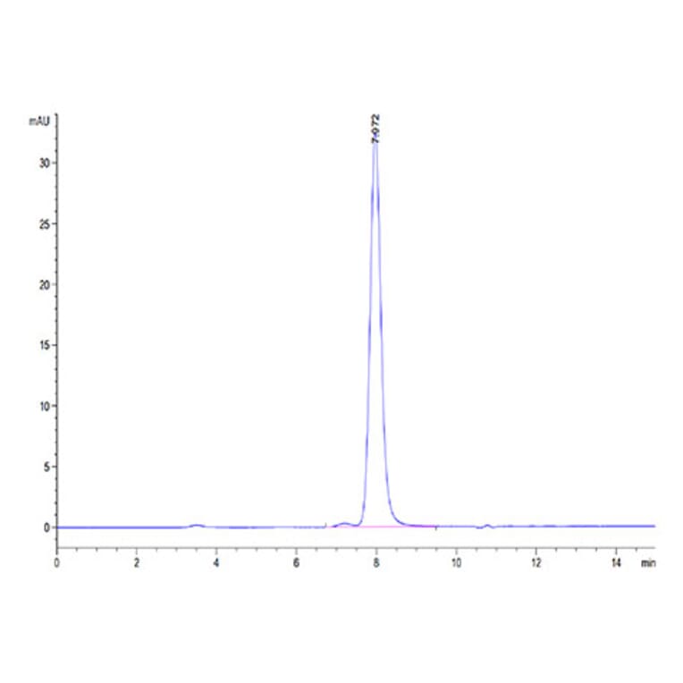 SEC-HPLC - Recombinant Cynomolgus macaque CD73 Protein (C-terminal His Tag) (A330394) - Antibodies.com