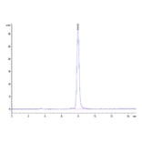 SEC-HPLC - Recombinant Cynomolgus macaque CD73 Protein (C-terminal His Tag) (A330394) - Antibodies.com