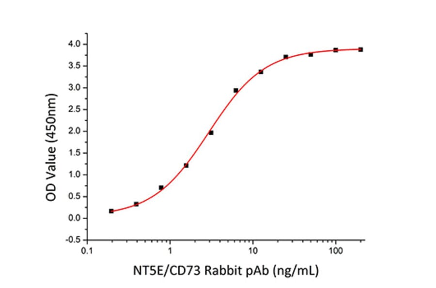 Standard Curve - Recombinant Human CD73 Protein (C-terminal His Tag) (A330395) - Antibodies.com