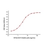Standard Curve - Recombinant Human CD73 Protein (C-terminal His Tag) (A330395) - Antibodies.com