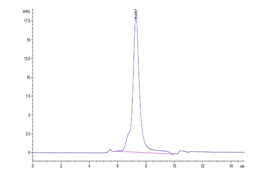 SEC-HPLC - Recombinant Human CD79b Protein (Biotin) (C-terminal His and Avi Tag) (A330400) - Antibodies.com