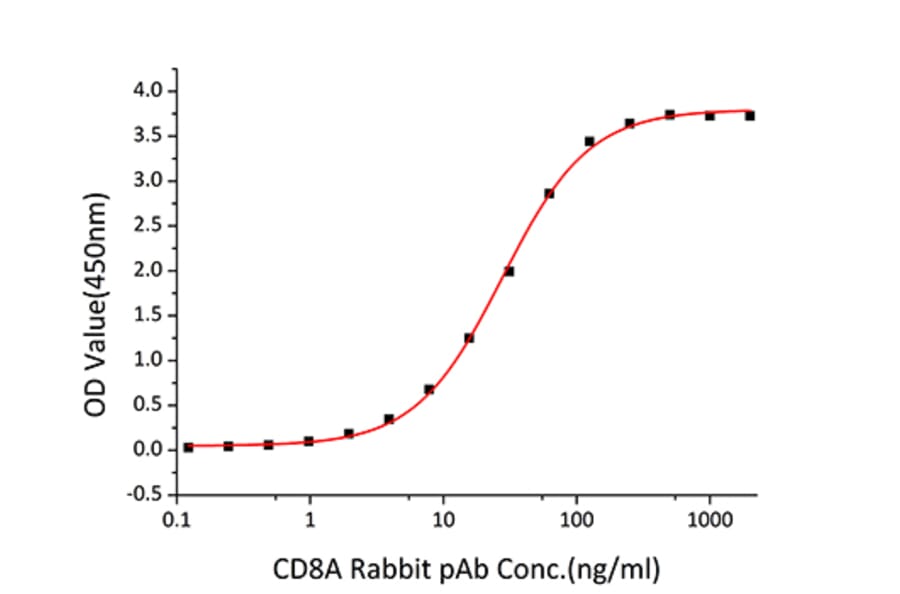 Standard Curve - Recombinant Human CD8 alpha Protein (C-terminal Human Fc and His Tag) (A330401) - Antibodies.com