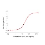 Standard Curve - Recombinant Human CD8 alpha Protein (C-terminal Human Fc and His Tag) (A330401) - Antibodies.com