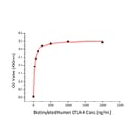 Standard Curve - Recombinant Human CD80 Protein (C-terminal His Tag) (A330405) - Antibodies.com