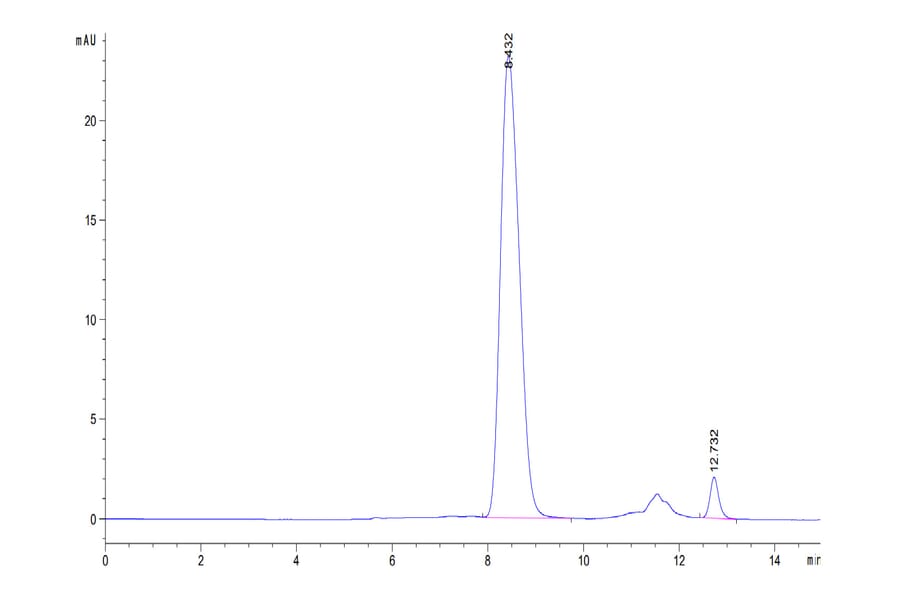 SEC-HPLC - Recombinant Human CD80 Protein (Biotin) (C-terminal His and Avi Tag) (A330406) - Antibodies.com
