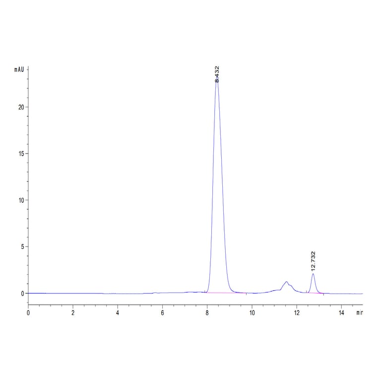 SEC-HPLC - Recombinant Human CD80 Protein (Biotin) (C-terminal His and Avi Tag) (A330406) - Antibodies.com