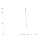 SEC-HPLC - Recombinant Human CD80 Protein (Biotin) (C-terminal His and Avi Tag) (A330406) - Antibodies.com