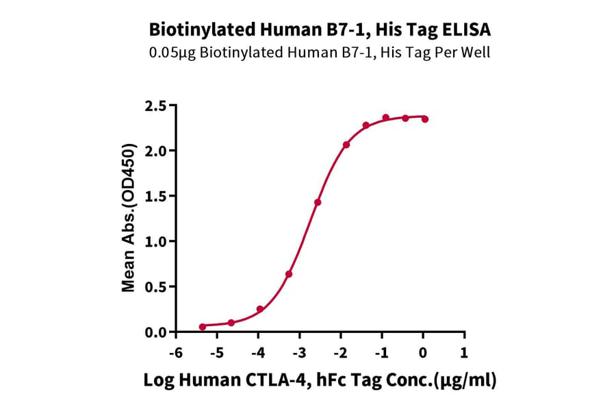 Standard Curve - Recombinant Human CD80 Protein (Biotin) (C-terminal His and Avi Tag) (A330406) - Antibodies.com