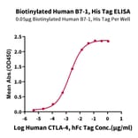 Standard Curve - Recombinant Human CD80 Protein (Biotin) (C-terminal His and Avi Tag) (A330406) - Antibodies.com