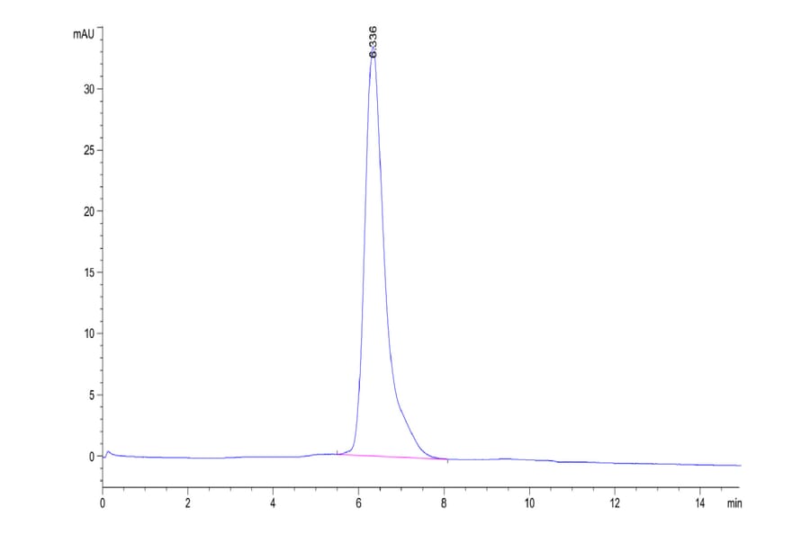 SEC-HPLC - Recombinant Human CD80 Protein (C-terminal Human Fc Tag) (A330407) - Antibodies.com