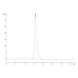 SEC-HPLC - Recombinant Human CD80 Protein (C-terminal Human Fc Tag) (A330407) - Antibodies.com