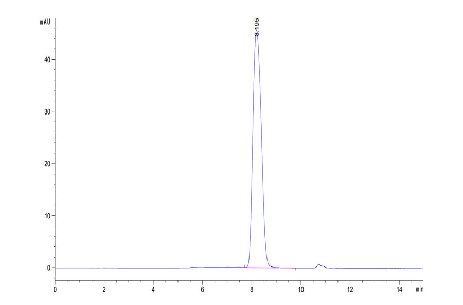 SEC-HPLC - Recombinant Human CD80 Protein (C-terminal His and Avi Tag) (A330408) - Antibodies.com