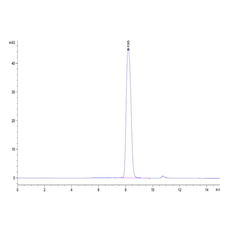 SEC-HPLC - Recombinant Human CD80 Protein (C-terminal His and Avi Tag) (A330408) - Antibodies.com