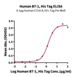 Standard Curve - Recombinant Human CD80 Protein (C-terminal His and Avi Tag) (A330408) - Antibodies.com