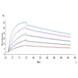 SPR Assay - Recombinant Human CD80 Protein (C-terminal His and Avi Tag) (A330408) - Antibodies.com
