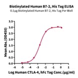 Standard Curve - Recombinant Human CD86 Protein (Biotin) (C-terminal His and Avi Tag) (A330414) - Antibodies.com