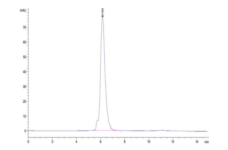 SEC-HPLC - Recombinant Human CD86 Protein (C-terminal Human Fc Tag) (A330415) - Antibodies.com