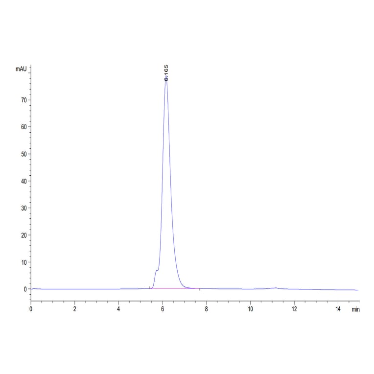 SEC-HPLC - Recombinant Human CD86 Protein (C-terminal Human Fc Tag) (A330415) - Antibodies.com