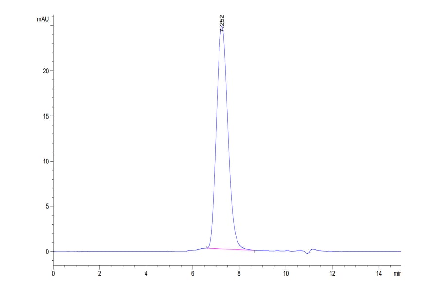 SEC-HPLC - Recombinant Human CD86 Protein (C-terminal His and Avi Tag) (A330416) - Antibodies.com