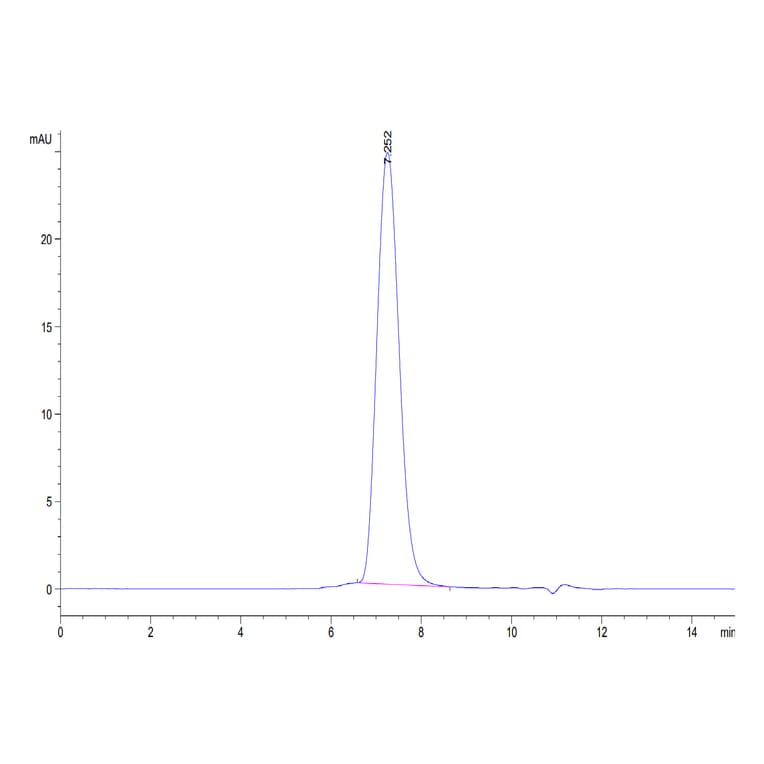 SEC-HPLC - Recombinant Human CD86 Protein (C-terminal His and Avi Tag) (A330416) - Antibodies.com