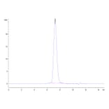 SEC-HPLC - Recombinant Human CD86 Protein (C-terminal His and Avi Tag) (A330416) - Antibodies.com