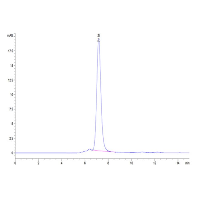 SEC-HPLC - Recombinant Human CD93 Protein (Biotin) (C-terminal His and Avi Tag) (A330422) - Antibodies.com