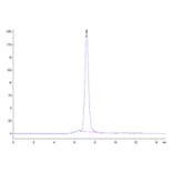 SEC-HPLC - Recombinant Human CD93 Protein (Biotin) (C-terminal His and Avi Tag) (A330422) - Antibodies.com