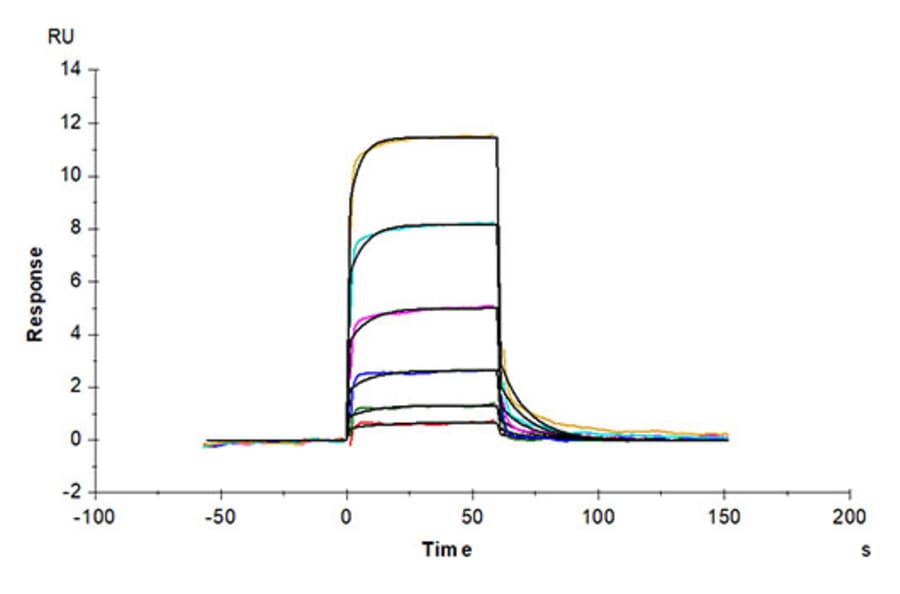 SPR Assay - Recombinant Human CD93 Protein (Biotin) (C-terminal His and Avi Tag) (A330422) - Antibodies.com