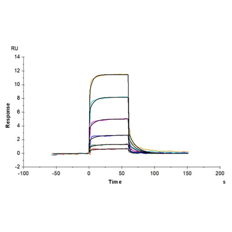SPR Assay - Recombinant Human CD93 Protein (Biotin) (C-terminal His and Avi Tag) (A330422) - Antibodies.com