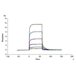 SPR Assay - Recombinant Human CD93 Protein (Biotin) (C-terminal His and Avi Tag) (A330422) - Antibodies.com