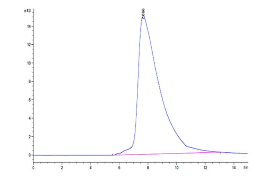 SEC-HPLC - Recombinant Human CD94 Protein (N-terminal His and Avi Tag) (A330424) - Antibodies.com