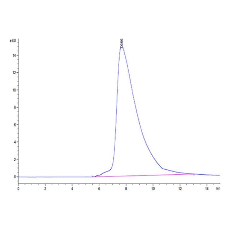 SEC-HPLC - Recombinant Human CD94 Protein (N-terminal His and Avi Tag) (A330424) - Antibodies.com