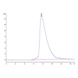 SEC-HPLC - Recombinant Human CD94 Protein (N-terminal His and Avi Tag) (A330424) - Antibodies.com