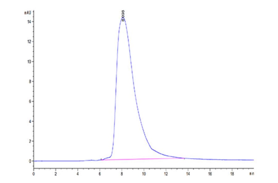 SEC-HPLC - Recombinant Human CD94 Protein (Biotin) (N-terminal His and Avi Tag) (A330425) - Antibodies.com