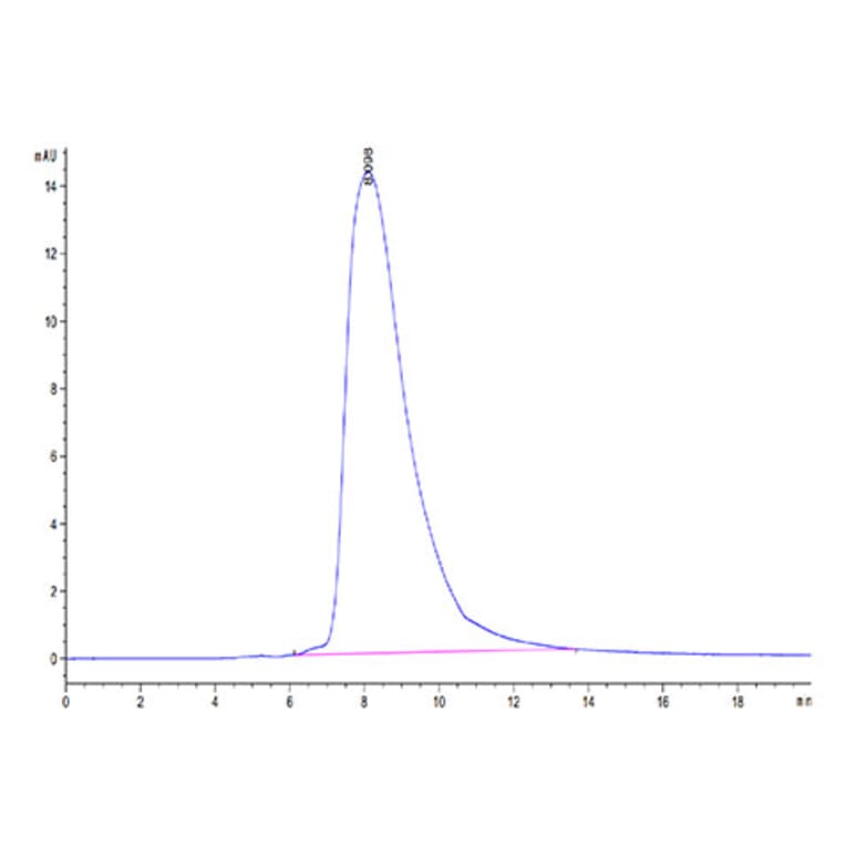 SEC-HPLC - Recombinant Human CD94 Protein (Biotin) (N-terminal His and Avi Tag) (A330425) - Antibodies.com