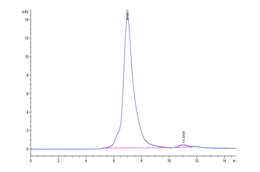 SEC-HPLC - Recombinant Human CD96 Protein (C-terminal His Tag) (A330427) - Antibodies.com