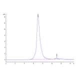 SEC-HPLC - Recombinant Human CD96 Protein (C-terminal His Tag) (A330427) - Antibodies.com