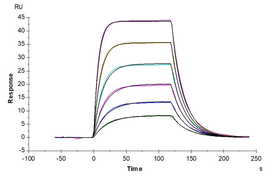 SPR Assay - Recombinant Human CD96 Protein (C-terminal His Tag) (A330427) - Antibodies.com