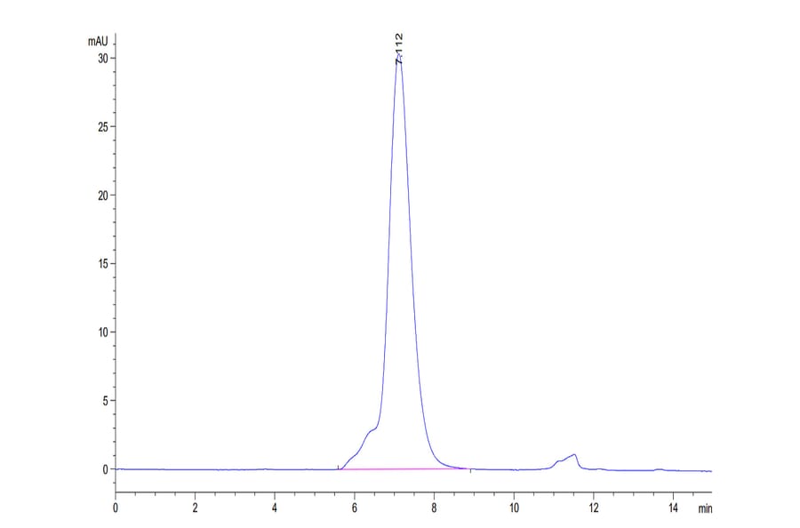 SEC-HPLC - Recombinant Human CD96 Protein (C-terminal His Tag) (A330429) - Antibodies.com