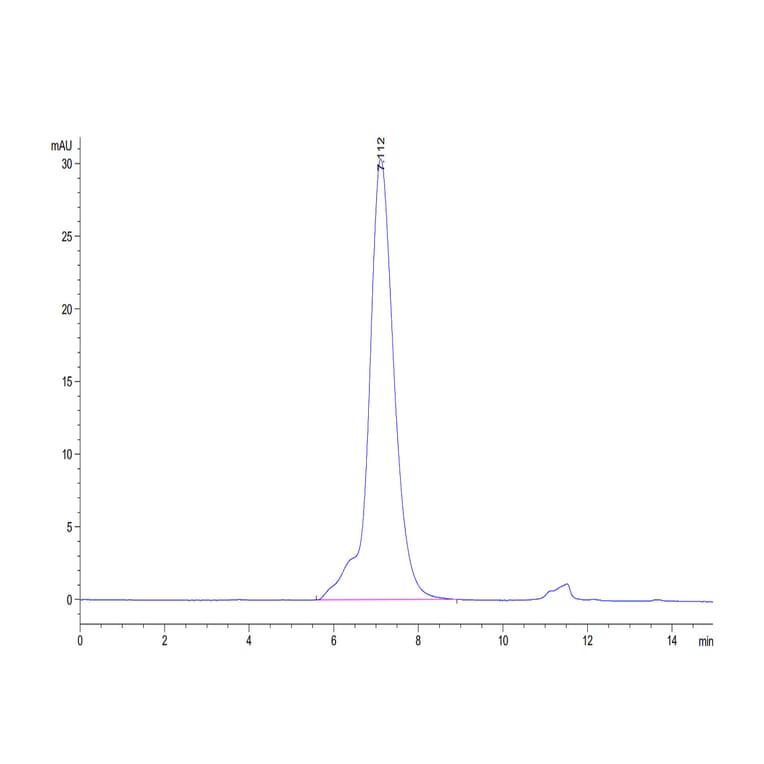 SEC-HPLC - Recombinant Human CD96 Protein (C-terminal His Tag) (A330429) - Antibodies.com