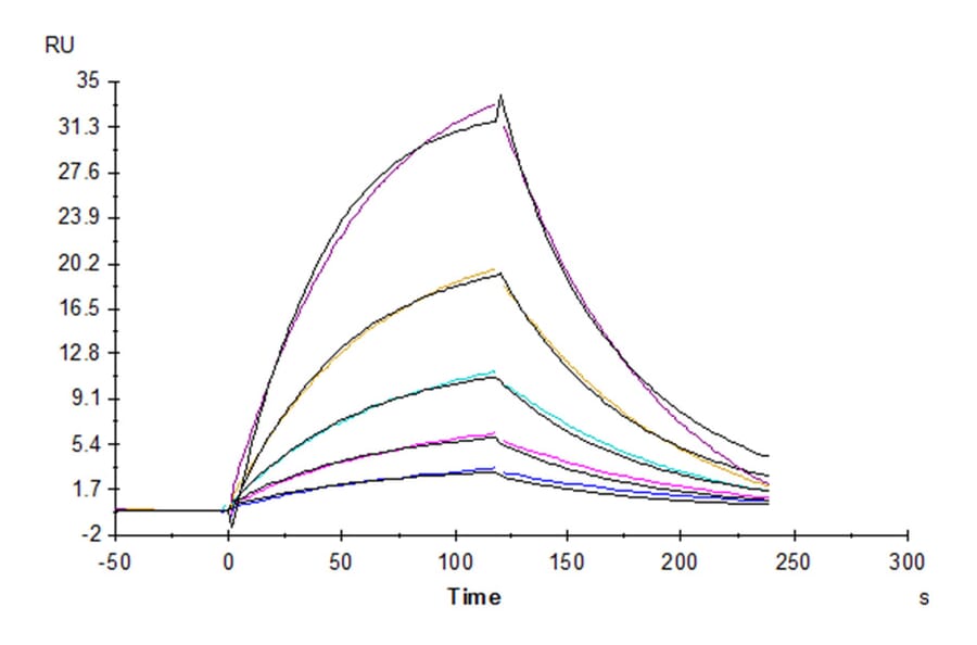 SPR Assay - Recombinant Human CD96 Protein (C-terminal His Tag) (A330429) - Antibodies.com