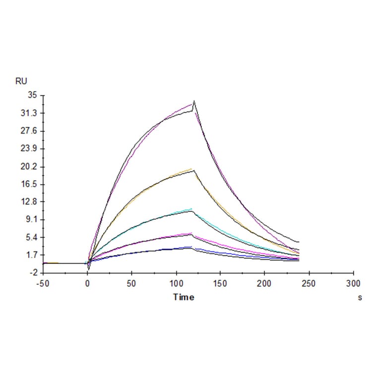 SPR Assay - Recombinant Human CD96 Protein (C-terminal His Tag) (A330429) - Antibodies.com