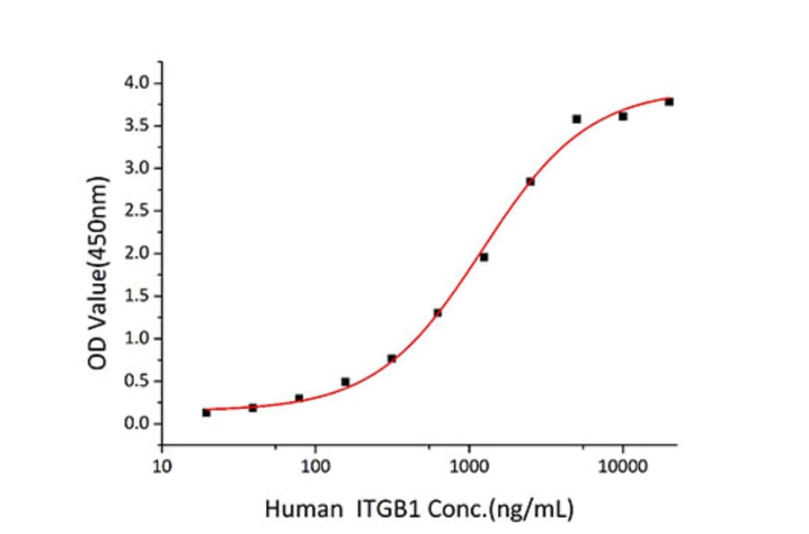 Standard Curve - Recombinant Human CD98 Protein (A330431) - Antibodies.com